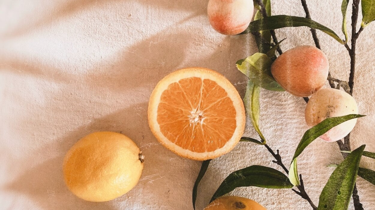 Orange and citrus fruits on a beige background